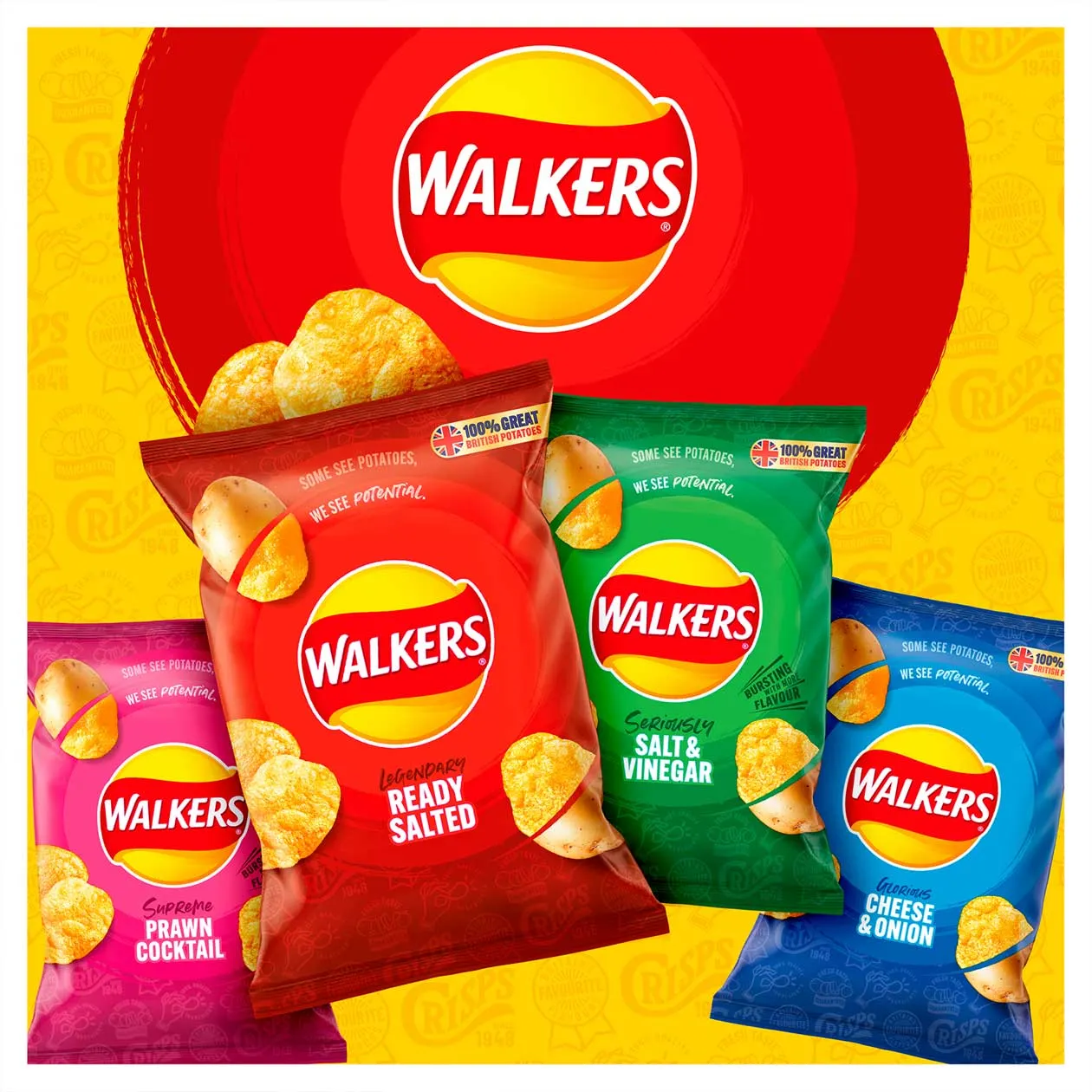 Walkers Crisps Salt And Vinegar Sharing Multipack 180 Bags x 25g Best Before Date